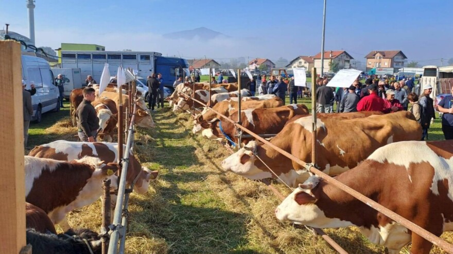 13. Izložba stočarstva i ruralnog stvaralaštva Gračanica – Doboj Istok 2024.